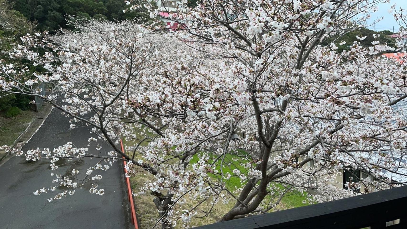 Shirahama Meiji Villa Eksteriør bilde